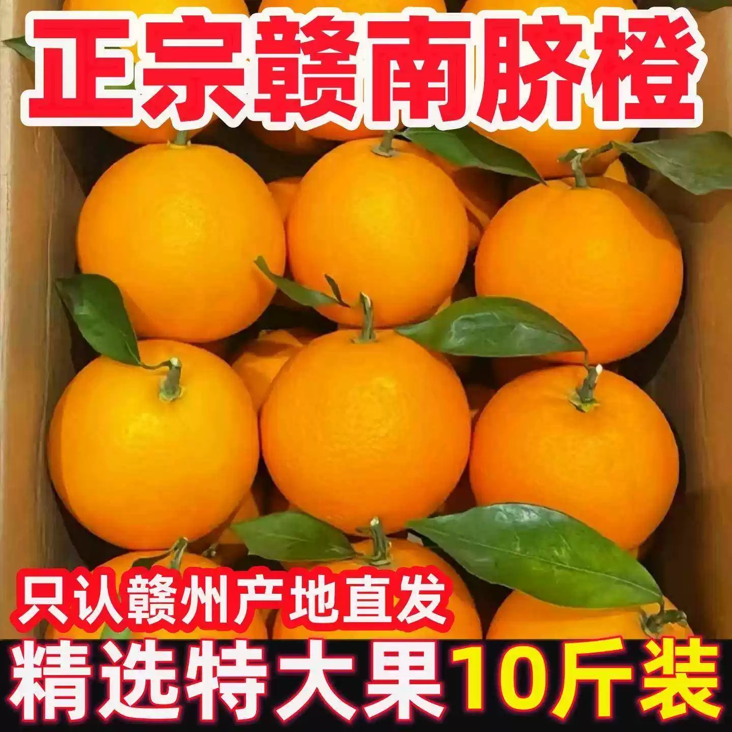 正宗江西赣南脐橙